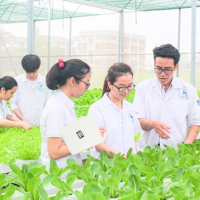 Chương trình Đại học bằng tiếng Anh