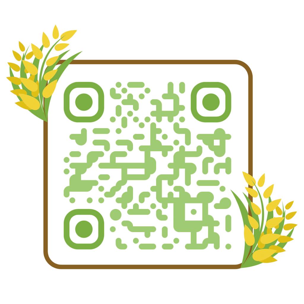 QR starup