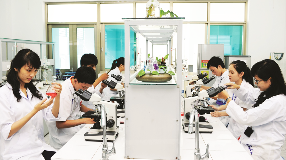 Cơ sở vật chất