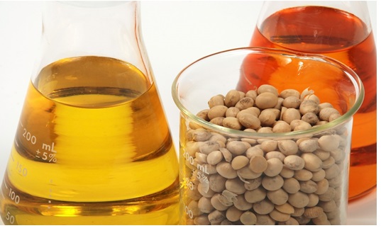 soybean biofuel materials