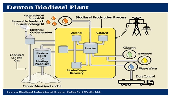 Figure 3. Concept ideas of manufacturing biodiesel from green vegetable oil.