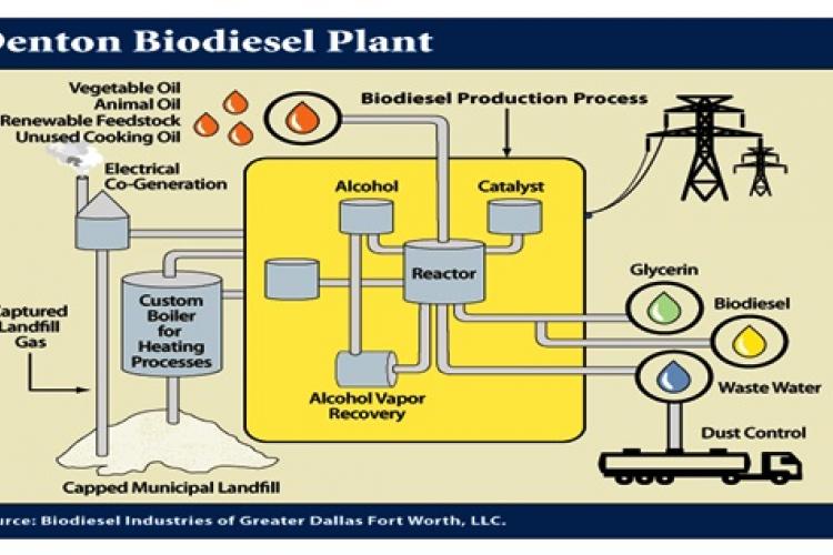 Concept ideas of manufacturing biodiesel from green vegetable oil.